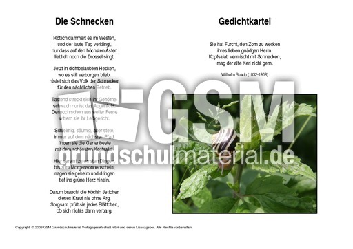 Die-Schnecken-Busch.pdf